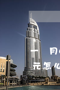 一個月6000元欠網(wǎng)貸5萬元怎么還-一個月6000元欠網(wǎng)貸5萬元怎么還款