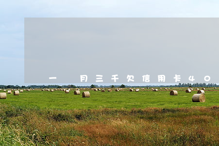 一個月三千欠信用卡40萬怎么辦