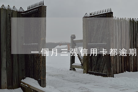 一個月三張信用卡都逾期(信用卡3個月逾期)