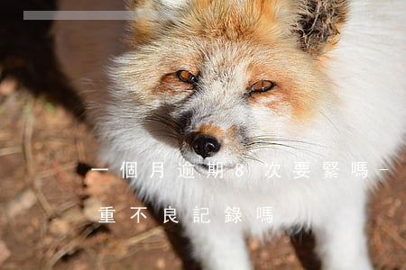 一個月逾期8次要緊嗎-一個月的逾期算嚴重不良記錄嗎