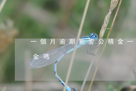 一個月逾期影響公積金(一個月逾期影響公積金嗎)