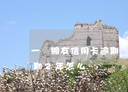 一個朋友信用卡逾期兩年了(很多張信用卡逾期2年怎么辦)