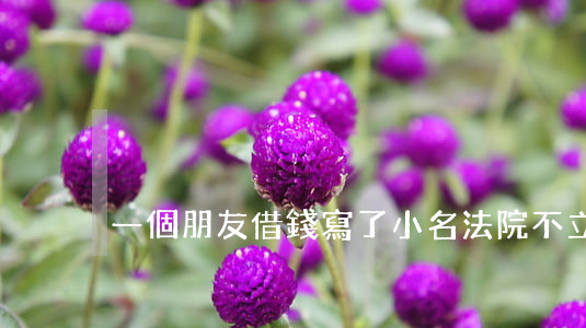 一個朋友借錢寫了小名法院不立案