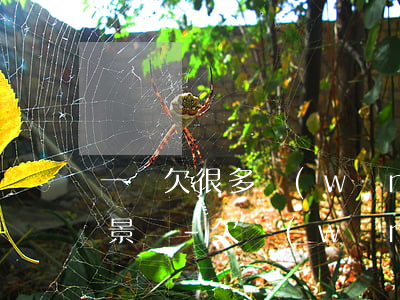 一個欠很多網(wǎng)貸的女孩會有前景嗎-欠網(wǎng)貸的女生