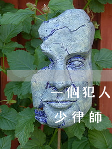 一個犯人可以請多少律師(一個犯人可以請多少律師)