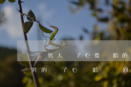 一個男人鐵了心要離婚的表現(xiàn)(男的鐵了心離婚還會回頭嗎)