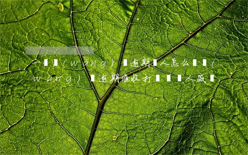一個網(wǎng)貸逾期罵人怎么辦(網(wǎng)貸逾期催收打電話罵人威脅)