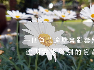 一個貸款逾期會影響別的貸款嗎-一個貸款逾期會影響別的貸款嗎知乎