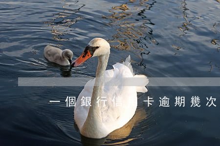一個銀行信用卡逾期幾次