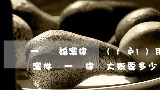 一個離婚案律師費(fèi)用要多少(離婚案件請一個律師大概要多少費(fèi)用)