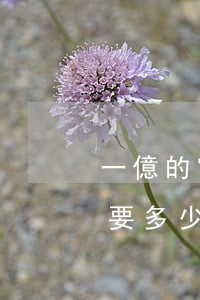 一億的官司律師費多少(打1萬元的官司,大概要多少律師費?)