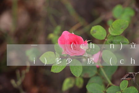 一億資產(chǎn)立遺囑律師費(fèi)多少錢(房產(chǎn)遺囑律師怎么收費(fèi)標(biāo)準(zhǔn))