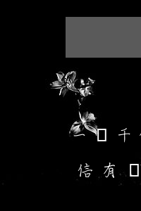 一兩千的小額貸款逾期(小額貸款逾期一天征信有問題嗎)