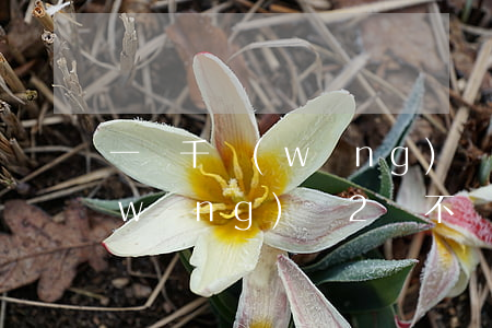 一兩千網(wǎng)貸不還會怎么樣(網(wǎng)貸2萬不還會有什么后果)
