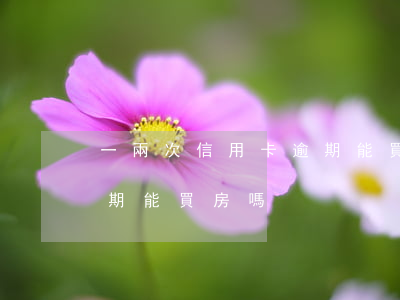 一兩次信用卡逾期能買房嗎(一兩次信用卡逾期能買房嗎)