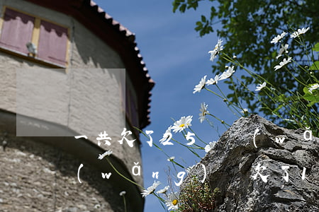 一共欠了25萬網(wǎng)貸怎么辦(網(wǎng)貸欠了15萬)