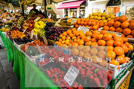一共欠网贷五万如何还(欠了网贷五万怎么办)