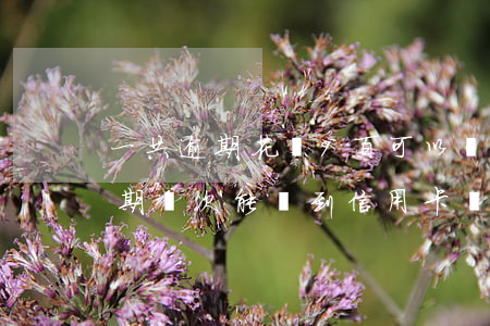 一共逾期花唄9百可以辦信用卡嗎-花唄逾期幾次,能辦到信用卡嗎