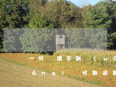 一分錢借不到網(wǎng)貸逾期(網(wǎng)貸分期逾期好久沒錢還都怎么樣了)