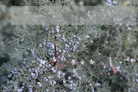 一分錢沒有全部網(wǎng)貸逾期