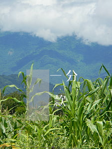 一分錢沒有貸款要逾期0(一分錢都沒有能貸款嗎)