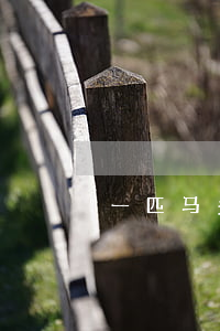 一匹马多少钱