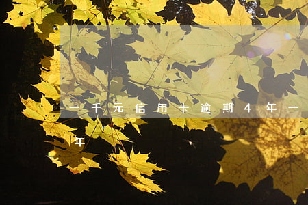 一千元信用卡逾期4年(一万元信用卡逾期五年)