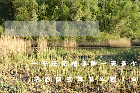 一千元花呗逾期一天多少(欠了花呗1000块逾期三年怎么到1800)