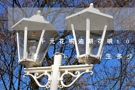 一千元花唄逾期(花唄1000逾期1個月會產(chǎn)生多少費用)