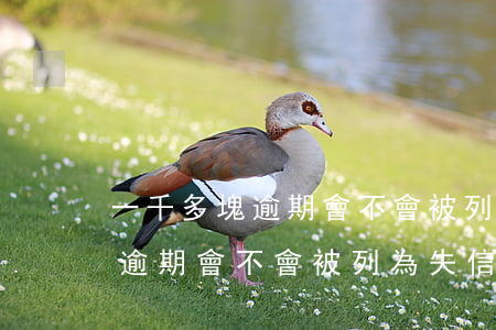 一千多塊逾期會不會被列為失信-一千多塊逾期會不會被列為失信人員