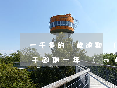 一千多的貸款逾期會(huì)怎樣(貸款幾千逾期一年沒(méi)還會(huì)怎么樣)