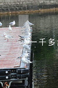 一千多網(wǎng)貸會起訴嗎