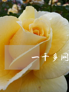 一千多网贷会起诉吗