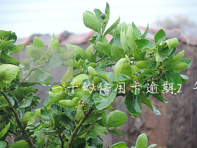 一千的信用卡逾期2年要還多少