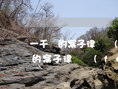 一千萬的案子律師費(fèi)多少(一百萬的案子律師費(fèi)是多少)