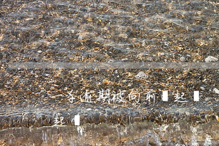一千逾期被向前帶起訴-貸款一千元逾期被起訴