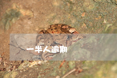 一半人逾期