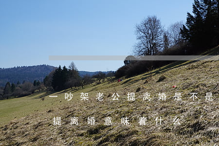 一吵架老公提离婚是不是不爱了(老婆吵架就提离婚意味着什么)