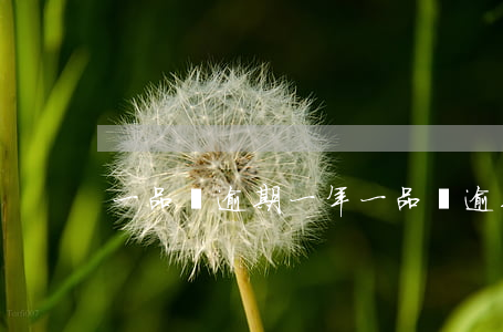 一品貸逾期一年(一品貸逾期一年)