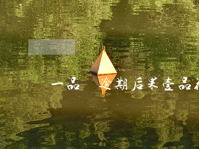 一品貸逾期后果（壹品花借款逾期）