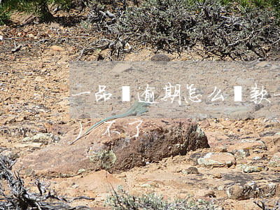 一品貸逾期怎么還款(一品貸申請(qǐng)不了)
