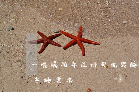 一喂顺风车注册司机驾龄多少(顺风车驾驶员年龄要求)