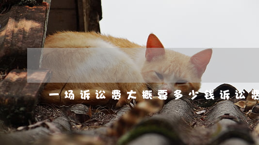 一场诉讼费大概要多少钱(诉讼费多少钱?)