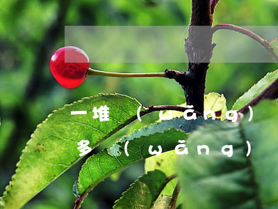 一堆網(wǎng)貸沒錢還怎么辦-我很多網(wǎng)貸沒錢還了怎么辦