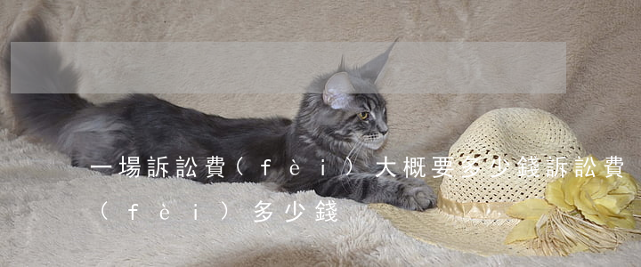 一場訴訟費(fèi)大概要多少錢(訴訟費(fèi)多少錢?)