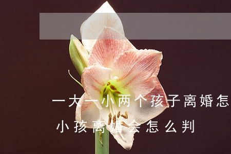 一大一小两个孩子离婚怎么判(结婚两年有一小孩,离婚会怎么判)