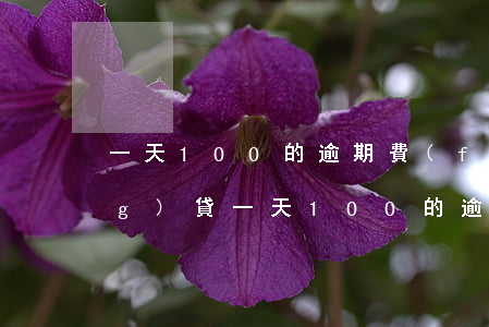一天100的逾期費(fèi)網(wǎng)貸(一天100的逾期費(fèi)網(wǎng)貸)