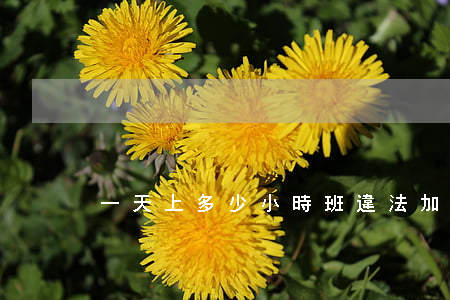 一天上多少小時班違法（加班工資標準是什么）