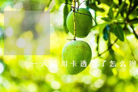 一天信用卡透支了怎么辦(信用卡透支怎么弄)