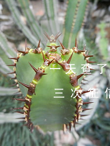 一天查了三次征信没有任何逾期-一天查了三次征信没有任何逾期记录